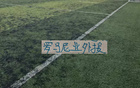 罗马尼亚外援 真大腿!刷屏助攻榜 晋级足协杯半决赛 第26轮还能神奇下去吗